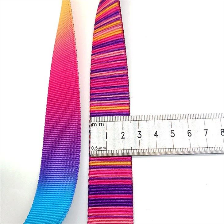 Polyester Webbing For dogs